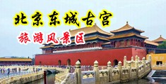 操比欧美大全中国北京-东城古宫旅游风景区